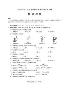 河南省周口市项城市2023-2024学年九年级上期期中调研测试化学试卷