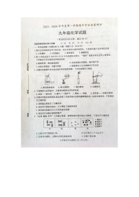 山东省菏泽市成武县2023-2024学年九年级上学期11月期中化学试题