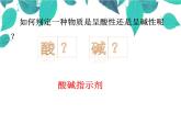 人教版化学九年级下册 第十单元酸和碱第十单元酸和碱第一课时酸碱指示剂-课件-课件