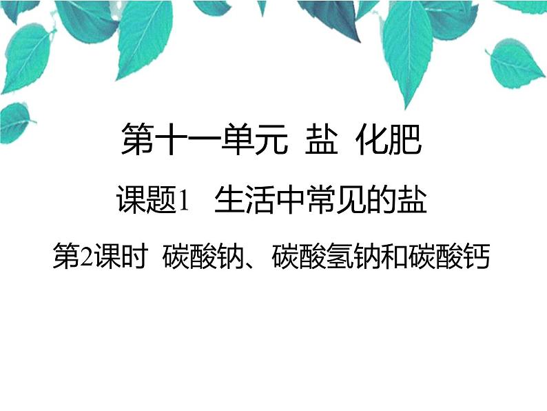 人教版化学九年级下册 第十一单元盐化肥第二课时碳酸钠、碳酸氢钠和碳酸钙-课件第1页