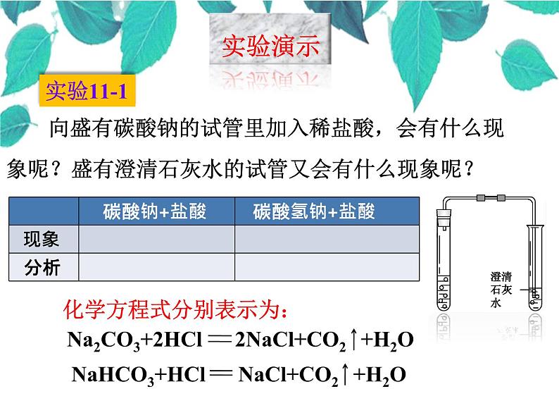 人教版化学九年级下册 第十一单元盐化肥第二课时碳酸钠、碳酸氢钠和碳酸钙-课件第6页