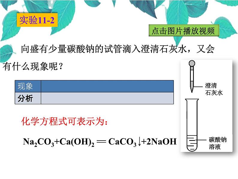 人教版化学九年级下册 第十一单元盐化肥第二课时碳酸钠、碳酸氢钠和碳酸钙-课件第7页