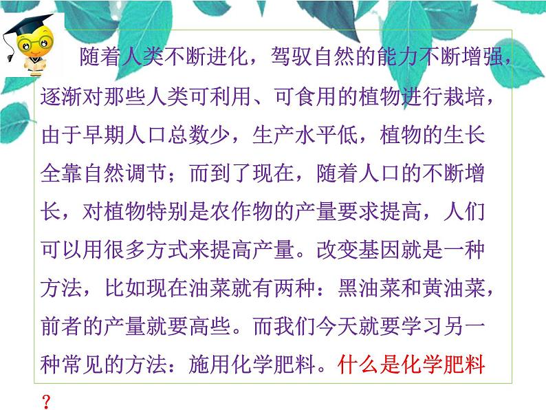 人教版化学九年级下册 第十一单元盐化肥课题2化学肥料-课件02