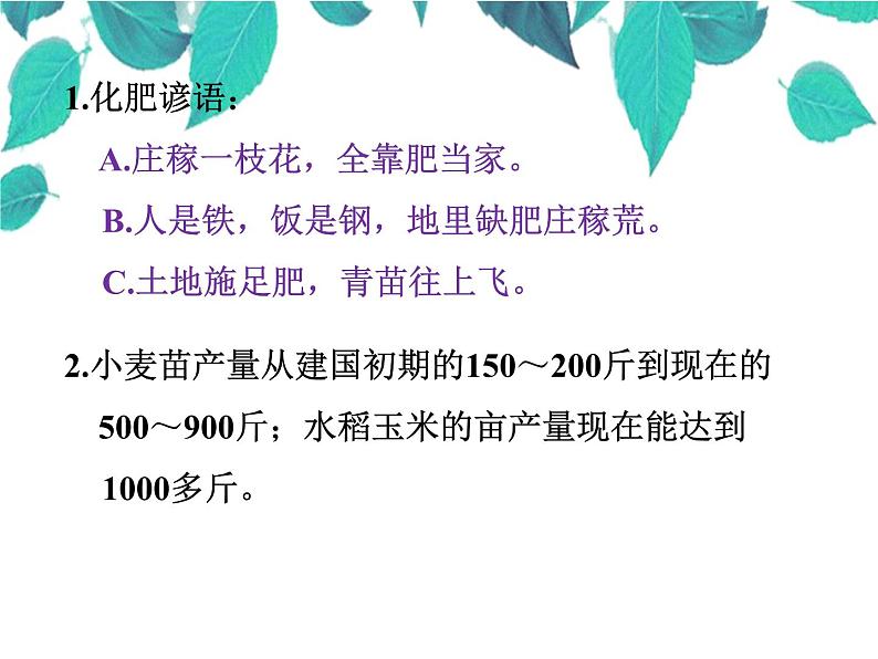 人教版化学九年级下册 第十一单元盐化肥课题2化学肥料-课件05