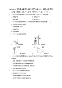 2023-2024学年湖北省武汉市硚口区九年级（上）期中化学试卷