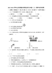 2023-2024学年山东省烟台市招远市九年级（上）期中化学试卷