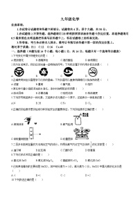 河南省平顶山市郏县2023-2024学年九年级上学期期中测试化学试题