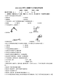 河南省郑州市第八中学2023-2024学年九年级上学期期中化学试题