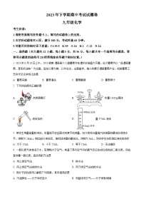 湖南省常德市澧县2023-2024学年九年级上学期期中化学试题