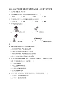 2023-2024学年河南省漯河市召陵区九年级（上）期中化学试卷