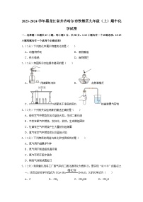 2023-2024学年黑龙江省齐齐哈尔市铁锋区九年级（上）期中化学试卷