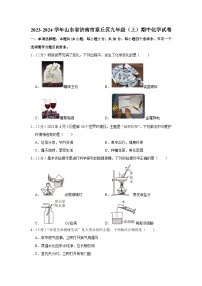 2023-2024学年山东省济南市章丘区九年级（上）期中化学试卷