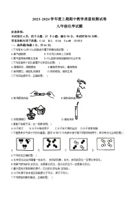 河南省漯河市郾城区2023-2024学年九年级上学期11月期中化学试题