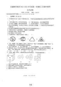 福建省漳州市东盛教育集团（漳州实验中学）2023-2024学年九年级上学期期中联考化学试卷