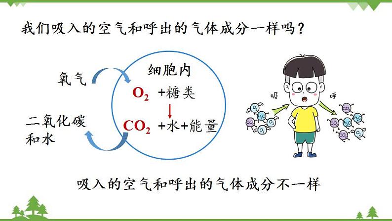 人教版化学九年级上册 第一单元 课题2 化学是一门以实验为基础的科学（第二课时）课件04