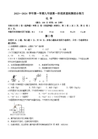 福建省厦门市同安区2023-2024学年九年级上学期期中化学试题(无答案)