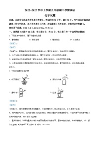 河南省周口市项城市2023-2024学年九年级上期期中调研测试化学试卷（解析版）