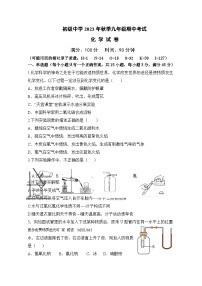 四川省达州市宣汉县双河中学2023-2024学年九年级上学期11月期中化学试题