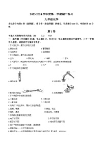 天津市津南区2023-2024学年九年级上学期期中化学试题(无答案)