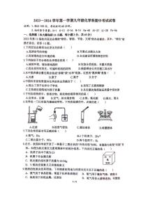 广东省东莞市东华初级中学2023-2024学年九年级上学期期中化学试卷