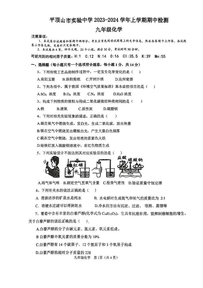河南省平顶山市实验中学2023-2024学年九年级上学期期中化学测试卷第1页