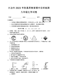 【教研室提供】湖北省黄石市大冶市2023-2024学年九年级上学期期中考试化学试题