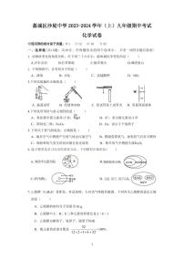 福建省莆田市荔城区黄石镇沙堤初级中学2023-2024学年九年级上学期期中考试化学试题