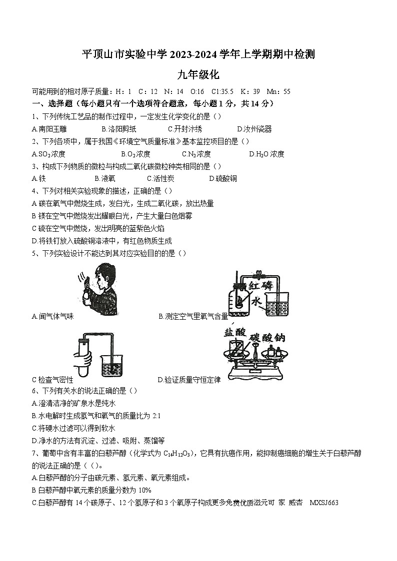 河南省平顶山市实验中学2023-2024学年九年级上学期期中化学测试卷(无答案)第1页