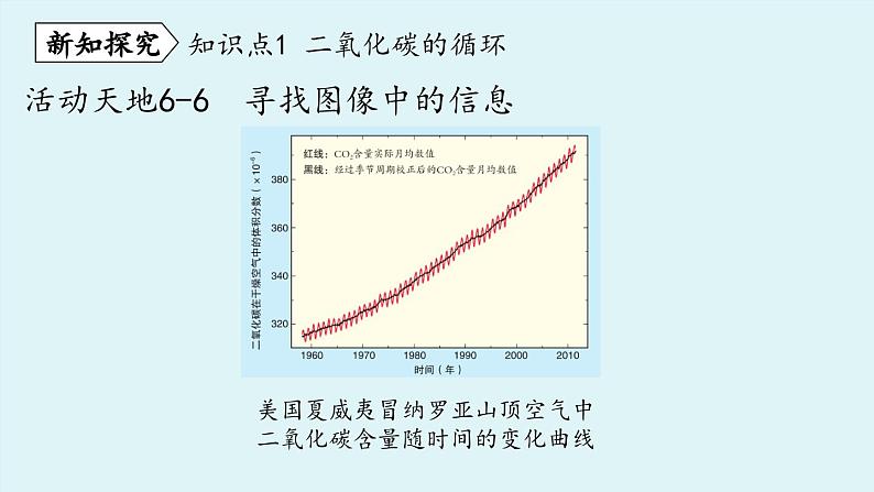 鲁教版九年级化学上册课件 第六单元 第三节 大自然中的二氧化碳（第一课时）第4页