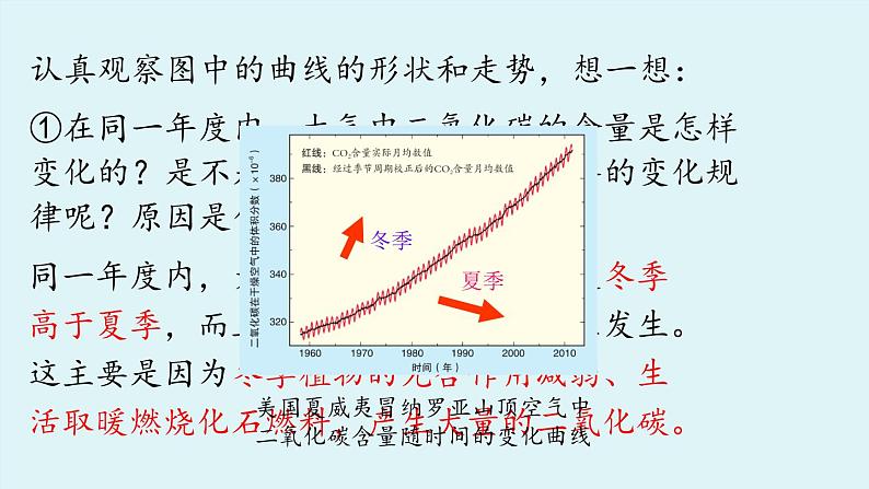 鲁教版九年级化学上册课件 第六单元 第三节 大自然中的二氧化碳（第一课时）第5页