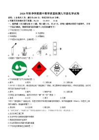 广东省惠州市博罗县2020-2021学年九年级上学期期中化学试题