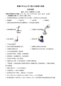 湖南省郴州市永兴县树德教育集团2023-2024学年九年级上学期期中化学试题