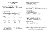 2022年重庆市璧山区中考模拟化学试题