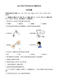 2022年湖南省邵阳市邵阳县中考模拟化学试题