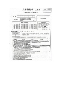 河南省周口市西华县2023-2024学年九年级上学期11月月考化学试题