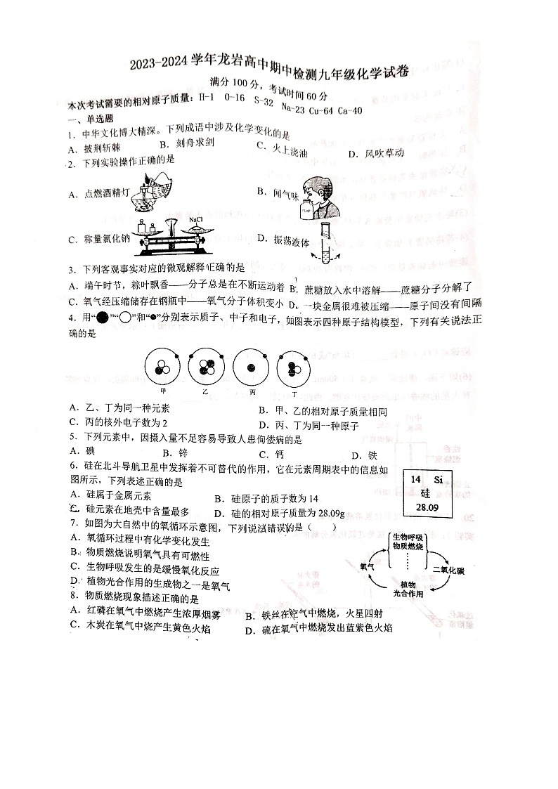 福建省龙岩市高级中学2023-2024学年九年级上学期期中检测化学试题第1页