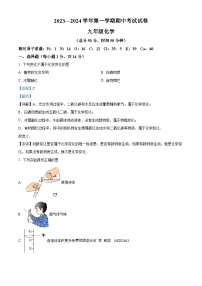 河南省濮阳市濮阳经济技术开发区2023-2024学年九年级上学期期中考试化学试题（解析版）