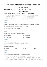 江苏省扬州市邗江区梅岭中学2023-2024学年九年级上学期期中化学试题（解析版）