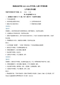 四川省自贡市自流井区蜀光绿盛实验学校2023-2024学年九年级上学期期中化学试题（解析版）