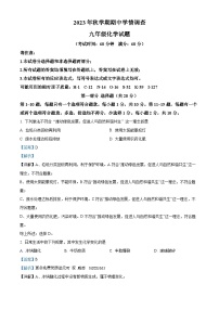 江苏省泰州中学附属初级中学2023-2024学年九年级上学期期中考试化学试卷（解析版）