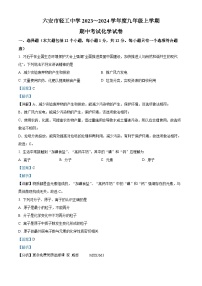 安徽省六安市轻工中学2023-2024学年九年级上学期11月期中化学试题（解析版）