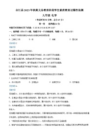 四川省泸州市合江县九支初级中学校2023-2024学年九年级上学期期中考试化学试卷（解析版）