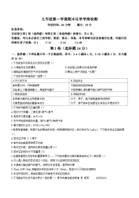 山东省济宁市邹城第八中学2023-2024学年上学期九年级期中检测化学试题(无答案)