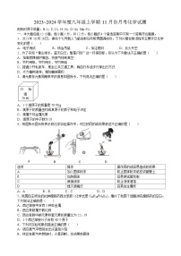 安徽省淮北市濉溪县白沙中心学校2023~2024学年九年级上学期11月份月考化学试题