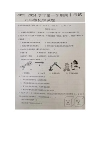 山东省宁津县苗场中学2023-2024学年九年级上学期期中考试化学试题