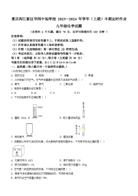 重庆市华东师范大学附属中旭科创学校2023-2024学年九年级上学期期中定时作业化学试题(无答案)