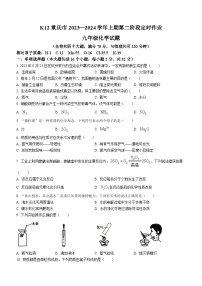 重庆市巴南区2023-2024学年九年级上学期11月月考化学试题