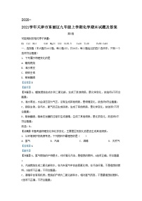 2020-2021学年天津市东丽区九年级上学期化学期末试题及答案