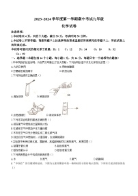 河南省漯河市临颍县2023-2024学年九年级上学期期中考试化学试题