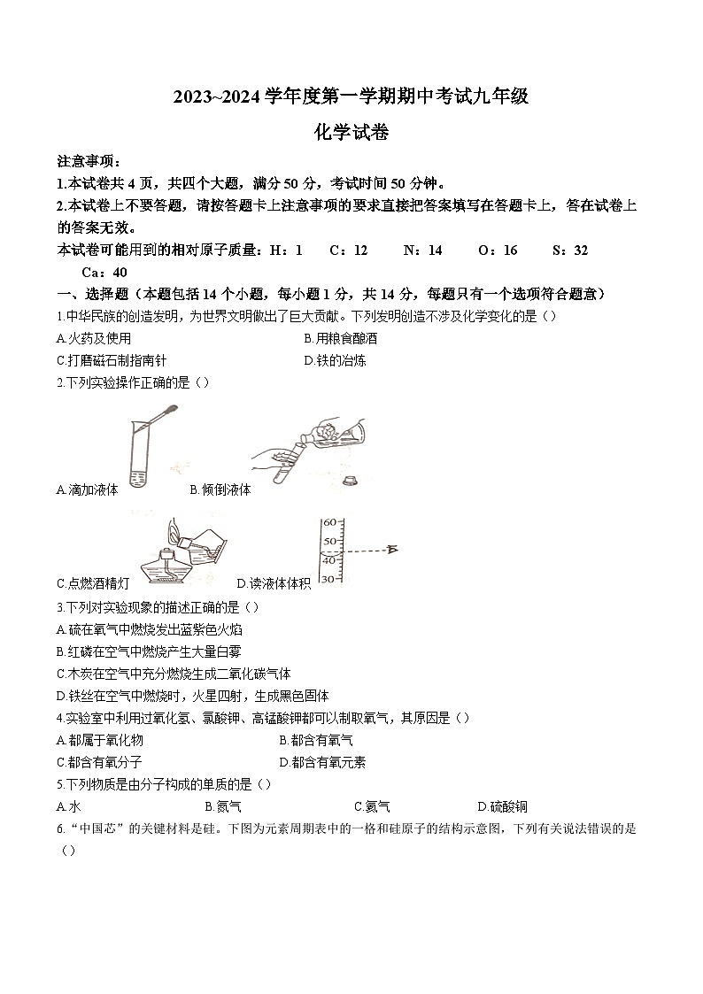 河南省漯河市临颍县2023-2024学年九年级上学期期中考试化学试题01